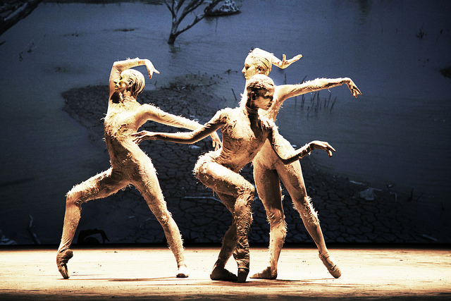 festival danca debora coker