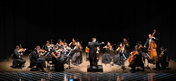 camerata