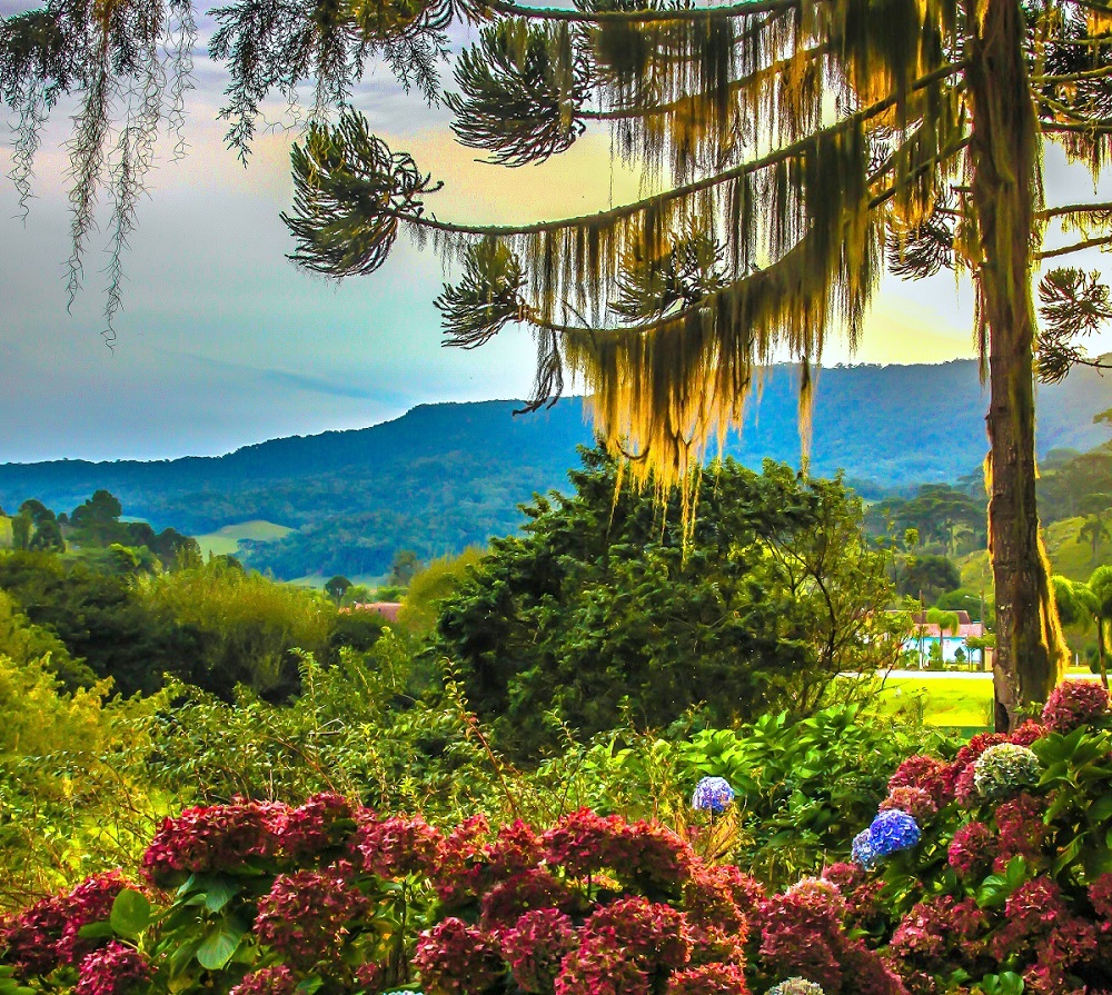 rancho queimado outono